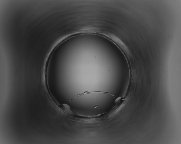 X0000100781288200806191254