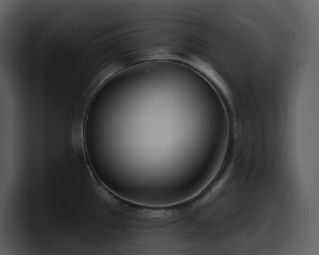 X0000100781289200806191254