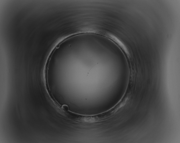 X0000100781291200806191254