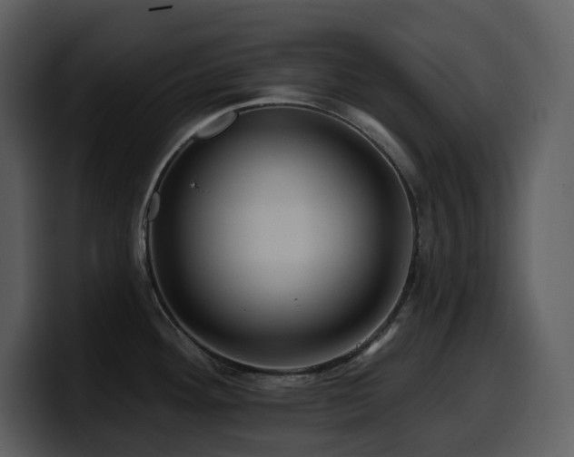 X0000100781292200806191254