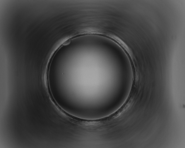 X0000100781293200806191254