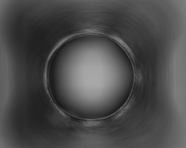 X0000100781294200806191254