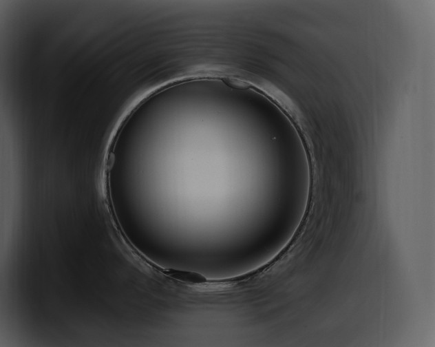 X0000100781296200806191254