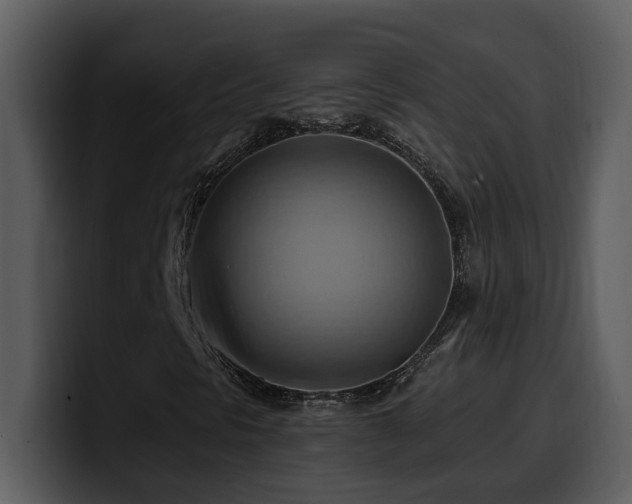 X0000100781297200806191254