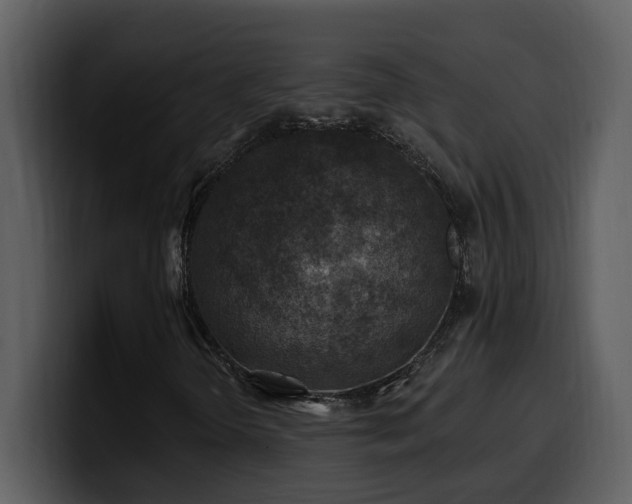 X0000100781298200806191254