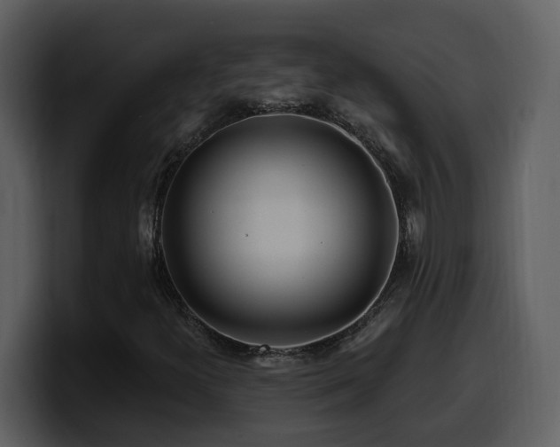 X0000100781300200806191254