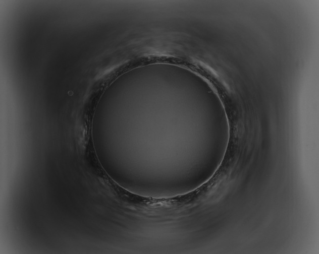 X0000100781303200806191254