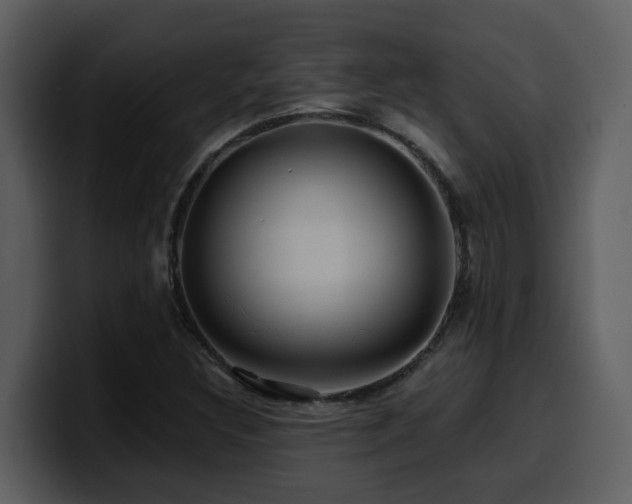 X0000100781308200806191254