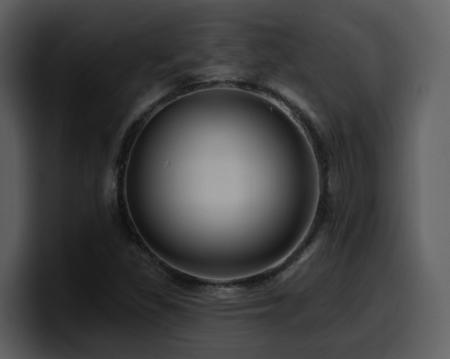 X0000100781309200806191254