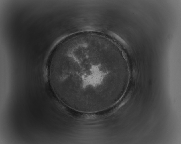 X0000100781310200806191254