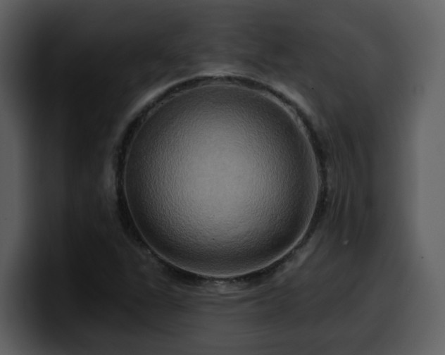 X0000100781311200806191254