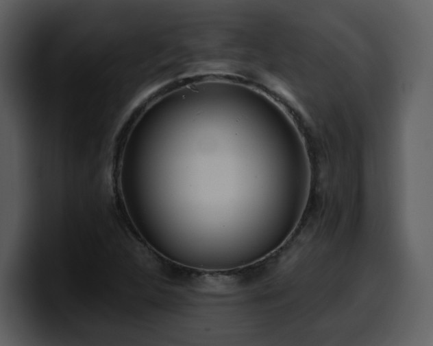 X0000100781312200806191254