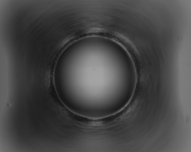 X0000100781313200806191254