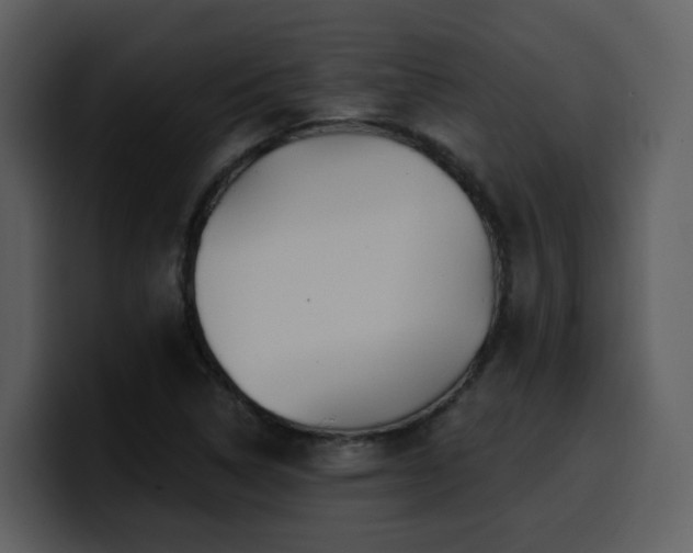 X0000100781314200806191254