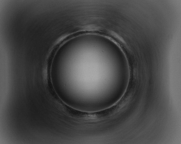 X0000100781315200806191254