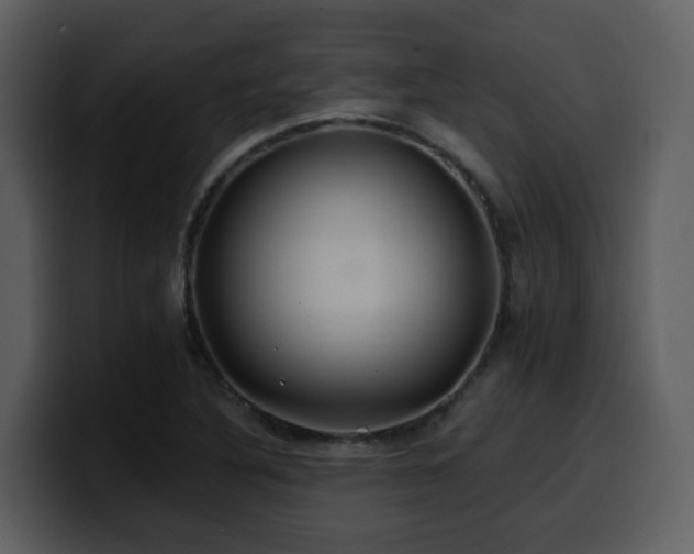 X0000100781316200806191254