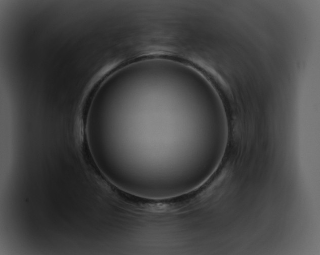 X0000100781317200806191254