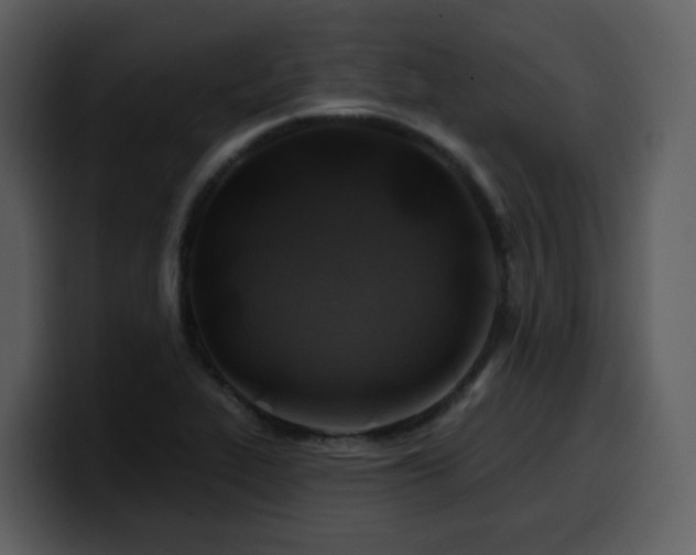 X0000100781319200806191254