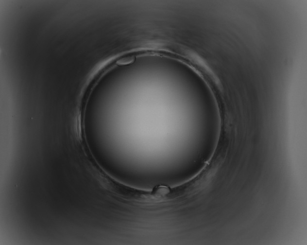 X0000100781320200806191254