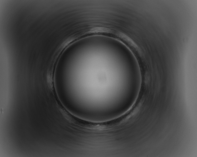 X0000100781321200806191254