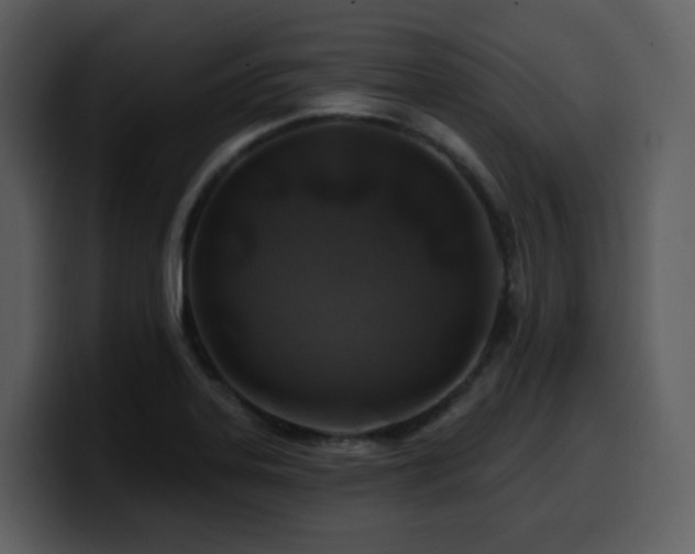 X0000100781323200806191254