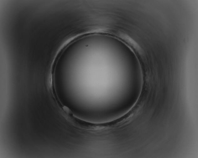 X0000100781324200806191254