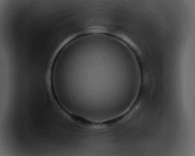 X0000100781325200806191254