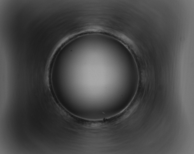 X0000100781326200806191254