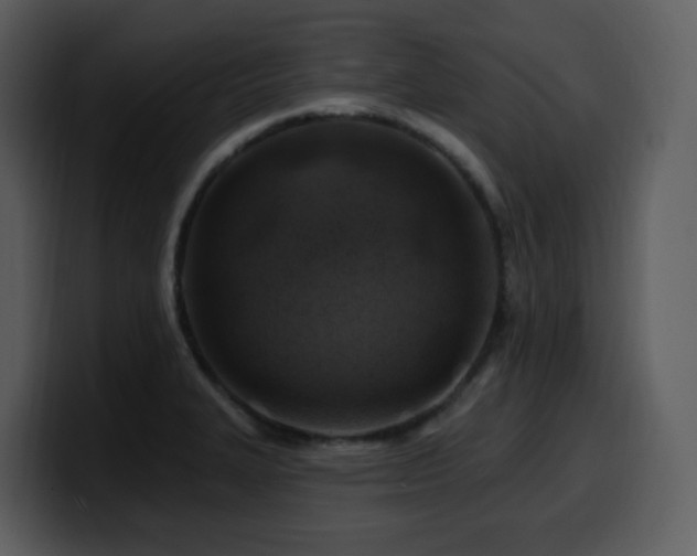 X0000100781327200806191254