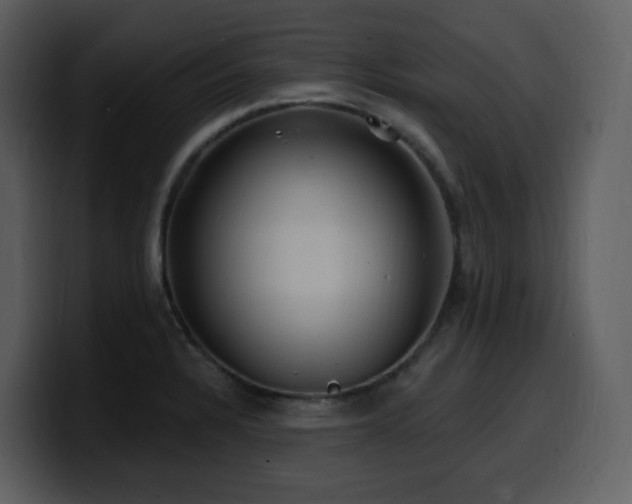 X0000100781328200806191254