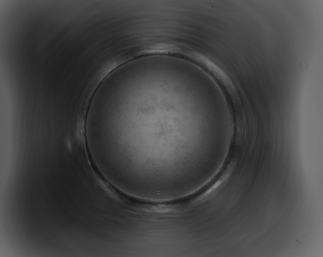 X0000100781329200806191254