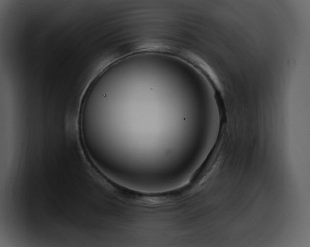 X0000100781330200806191254