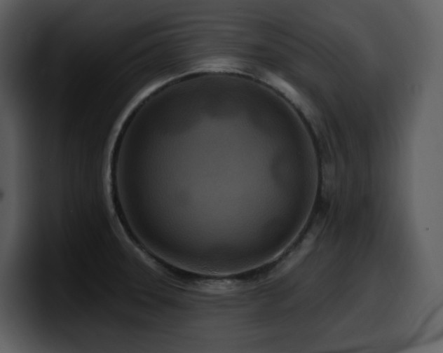 X0000100781331200806191254