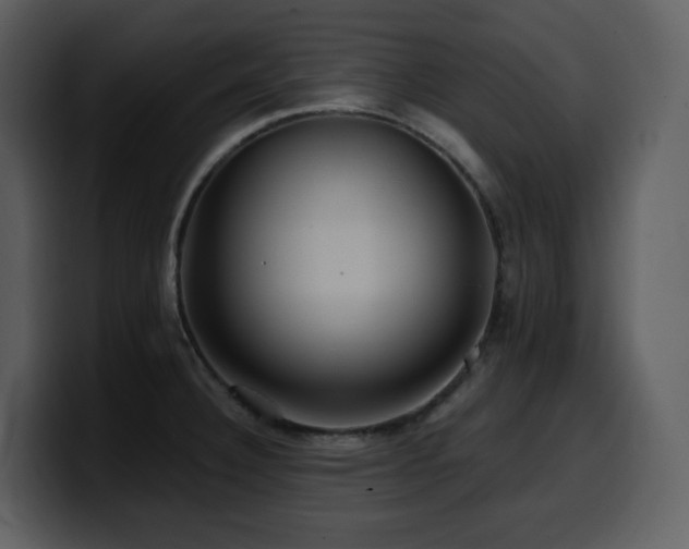 X0000100781332200806191254