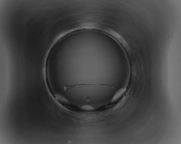 X0000100781334200806191254