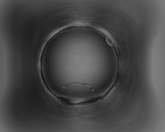 X0000100781335200806191254