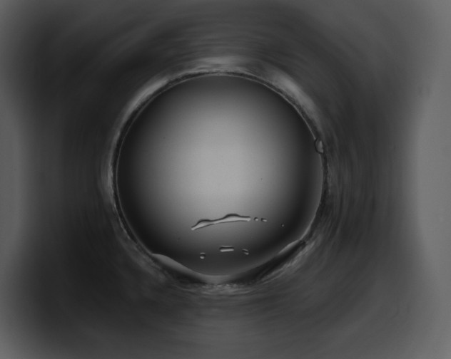 X0000100781336200806191254