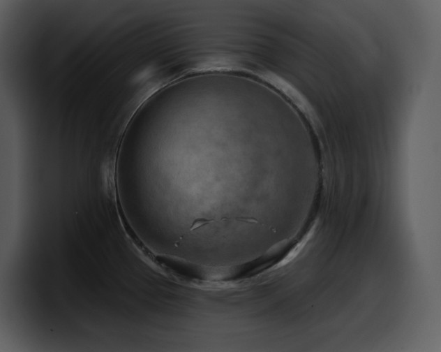 X0000100781337200806191254