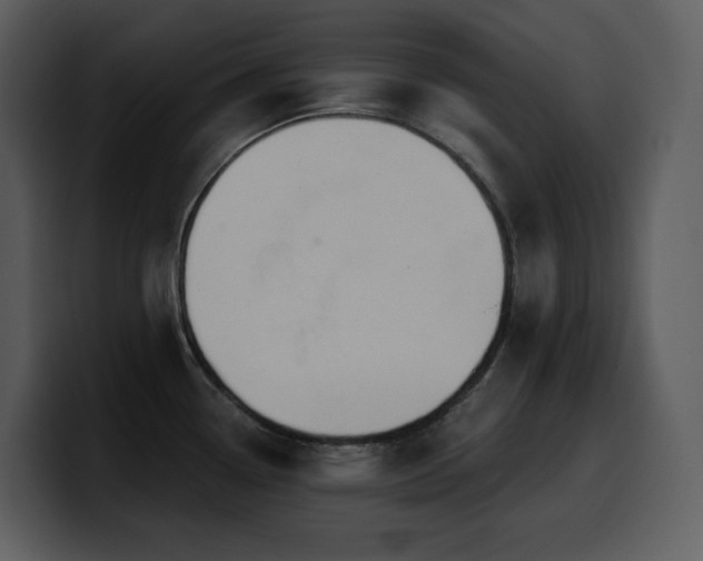 X0000100781338200806191254