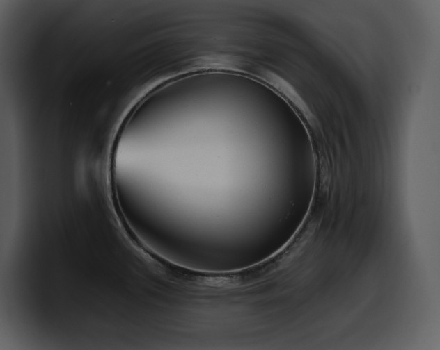 X0000100781339200806191254