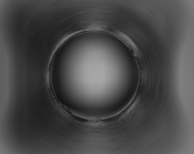 X0000100781340200806191254