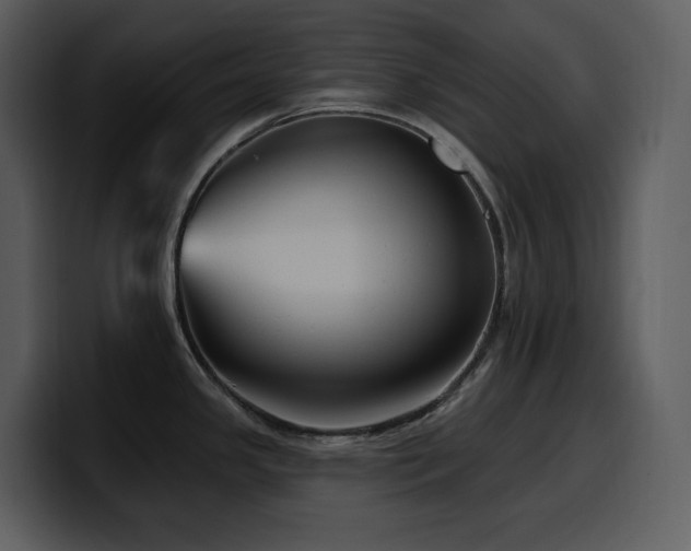 X0000100781341200806191254