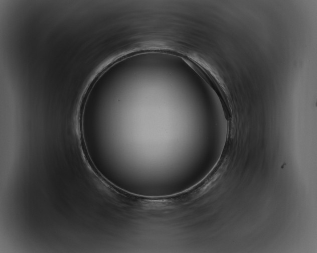 X0000100781342200806191254