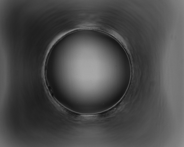 X0000100781344200806191254