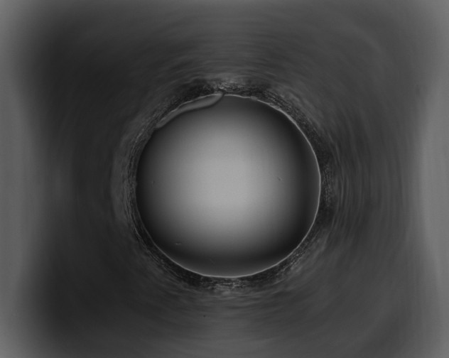 X0000100781345200806191254