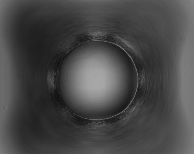 X0000100781346200806191254