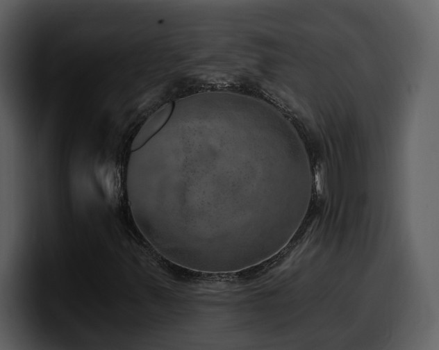 X0000100781347200806191254