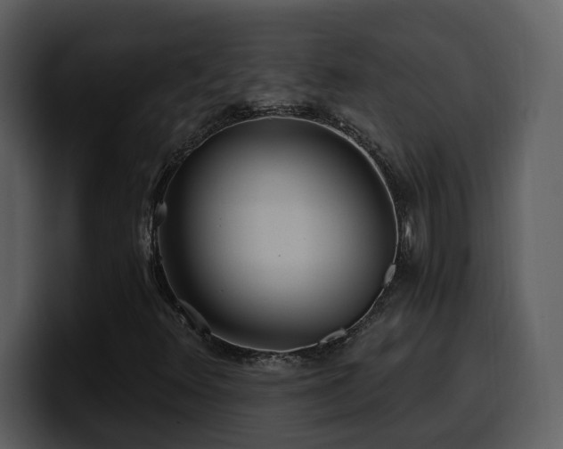 X0000100781348200806191254