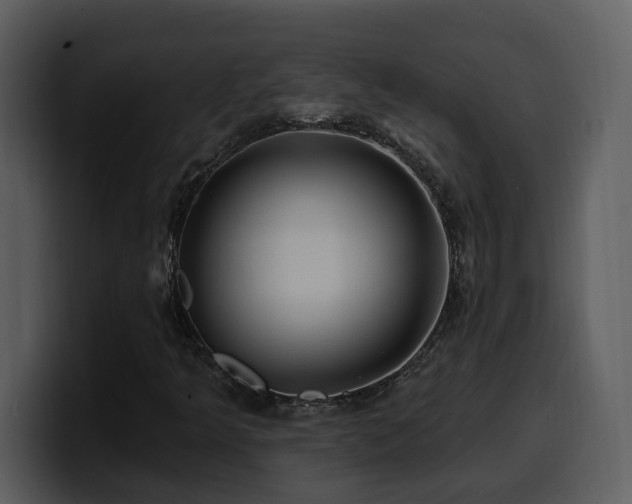 X0000100781349200806191254