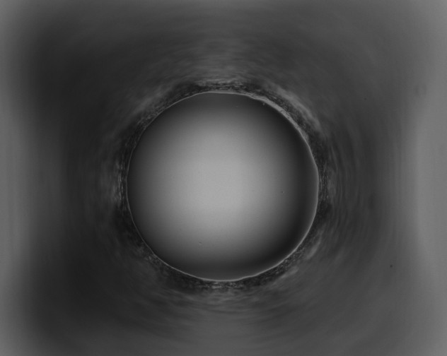 X0000100781350200806191254